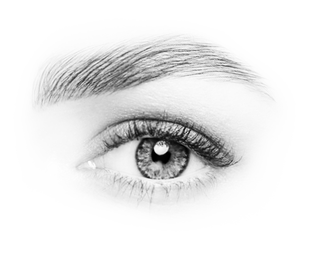 الرموش الرمادية والجبين