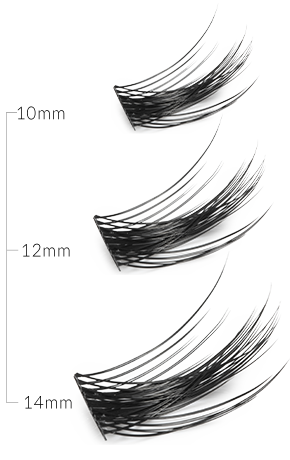 أطوال الرموش المعروضة - 10، 12، 14 ملم
