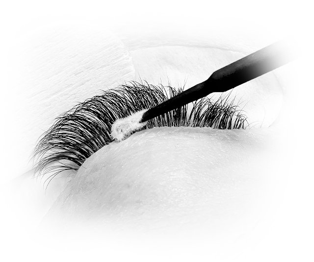 صورة بالأبيض والأسود لأداة تطبيق Microbrush يتم تطبيقها على الرموش